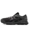Gel-Kayano 25 “Siyah”
