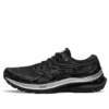 Gel-Kayano 29 Platinum “Siyah Beyaz”