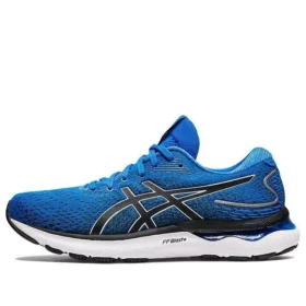 Gel-Nimbus 24 “Elektrik Mavisi”