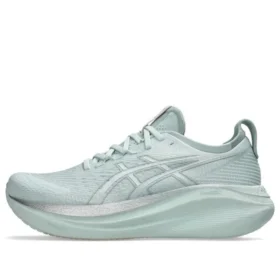 Gel-Nimbus 27 “Saf Su Saf Gümüş”