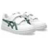 Japonya S “White Ivy”